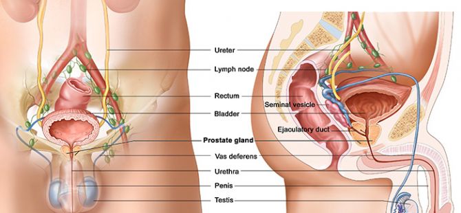 Prostat Kanserine Karşı 6 Altın Değerinde Tavsiye