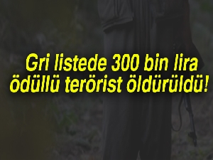 Gri listede 300 bin lira ödüllü terörist öldürüldü