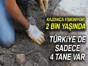 2 bin yıllık geçmişe sahip ve Türkiye’de sadece dört tane bulunuyor