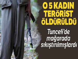 Tunceli'de 5 terörist etkisiz hale getirildi