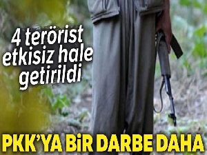 Mardin ve Bingöl kırsalında 4 terörist etkisiz hale getirildi
