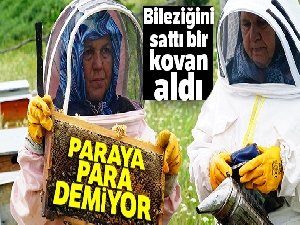 Bileziğini sattı, bir kovan arı aldı, şimdi paraya para demiyor