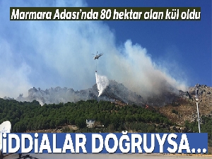 Marmara Adası yangınının ilk bilançosu açıklandı: 80 hektar alan kül oldu