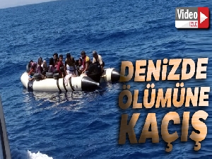 Denizde ölümüne kaçış!
