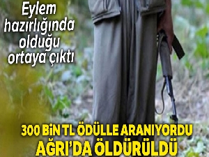 Ağrı'da öldürülen teröristin eylem hazırlığında olduğu ortaya çıktı