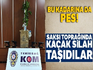 Saksıda kaçak silah