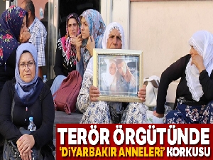 Terör örgütünde 'Diyarbakır anneleri' korkusu