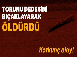 Torunu dedesini bıçaklayarak öldürdü