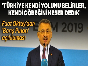 Cumhurbaşkanı Yardımcısı Fuat Oktay operasyonla ilgili konuştu