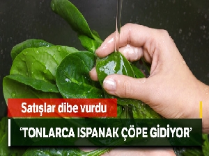 Tonlarca ıspanak çöpe gidiyor