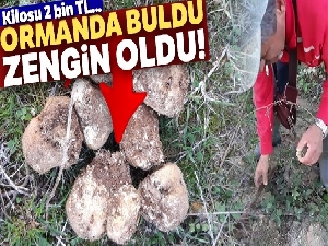 İznik ormanlarında buldu! Zengin Oldu!