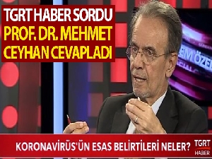 Fenerbahçe:
