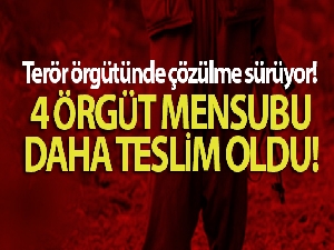 Emniyet ve jandarmanın ikna çalışması sonucu 4 örgüt mensubu daha teslim oldu