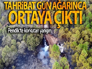Pendik'te yangının tahribatı gün ağarınca ortaya çıktı