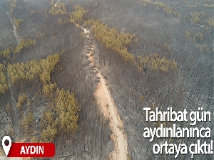 Muğla'da ormanlar alev alev yandı, tahribat gün aydınlanınca ortaya çıktı