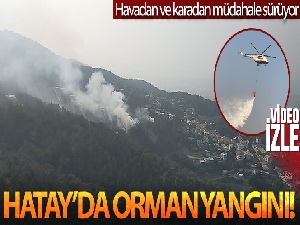 Hatay'da orman yangını