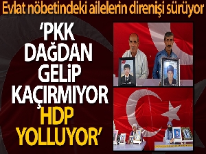 Yüreği yanık baba Bingöl: 'PKK dağdan gelip kaçırmıyor, HDP yolluyor'