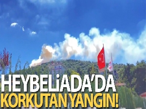 İstanbul Heybeliada'da çıkan yangın kontrol altına alındı