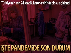 Son 24 saatte korona virüsten 230 kişi hayatını kaybetti