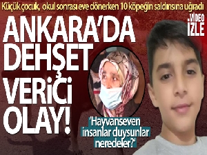 Ankara'da okuldan eve dönerken köpeklerin saldırdığı çocuk ağır yaralandı