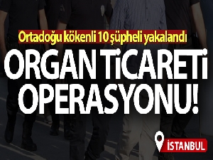 İstanbul'da organ ticareti operasyonu!