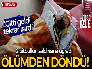 Antalya'da 2 pitbullun saldırısına uğrayarak ölümden dönen kadın: 'Gitti geldi tekrar ısırdı'