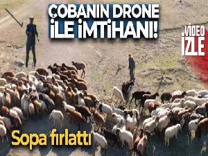 Çobanın drone ile imtihanı kamerada