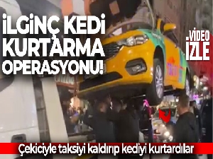 İstanbul'da ilginç kedi kurtarma operasyonu kamerada