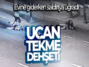 İstanbul'da uçan tekme dehşeti kamerada: Evine giderken saldırıya uğradı