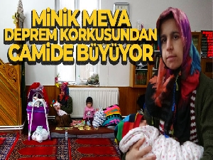 Minik Meva deprem korkusu nedeniyle camide büyüyor