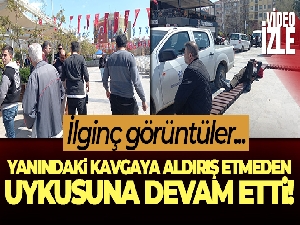 Böyle uyku keyfi görülmedi, ortalık karıştı uyku keyfini bozmadı