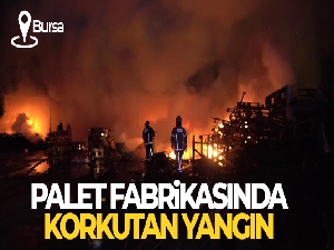 Bursa'da palet fabrikasında korkutan yangın