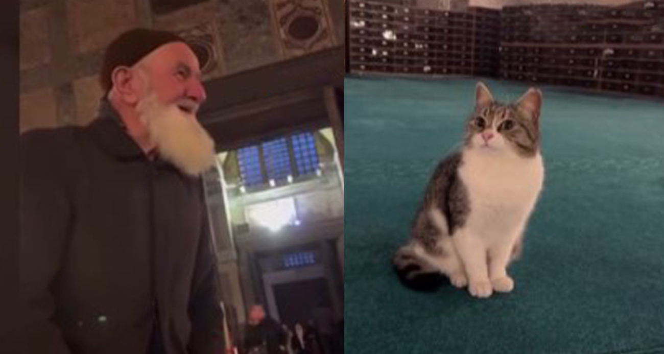 Ayasofya’da kedi sevdiği video ile viral olan Ahmet amca: 'Kediyi sevdim, beni filme almışlar'
