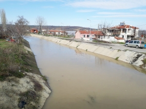 Ergene Nehri Taştı, Ağıllar Sular Altında Kaldı