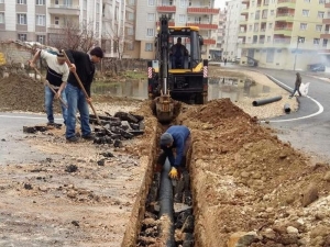 Mahalleli İstedi Siirt Belediyesi Yerine Getirdi