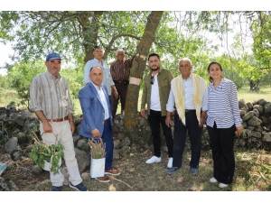 Yunusemre’de 80 Bin Ağaca Aşılama