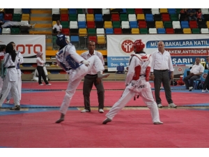 Türkiye Taekwondo Şampiyonası Sona Erdi