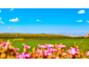Sarissa Antik Kenti Turizme Kazandırılmayı Bekliyor