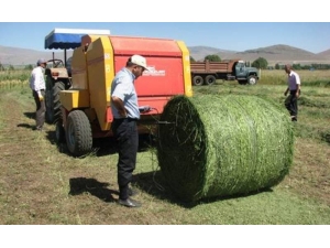 Çavdarhisar’da Çiftçilere Uygulamalı ’Süt Sığırı Yetiştiriciliği’ Kursu