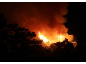 Antalya’da Orman Yangını Devam Ediyor