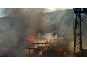 Samsun’da Kırsal Mahallede 4 Ev Yandı