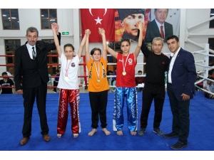 Osmaneli’nde Kick Boks Turnuvası