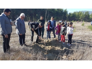 Kaş’ta Fidanlar Toprakla Buluştu