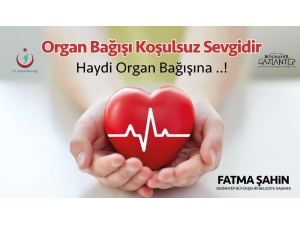 Organ Bağışı Çağrısı