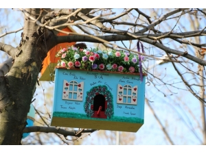 Üç Fidan Gençlik Parkı Kuş Evleri İle Renklendi