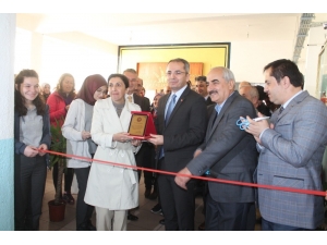 Tosya’da 8. Kütüphane Açıldı