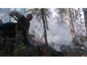 Bolu’da Çıkan Yangında 4 Hektarlık Orman Zarar Gördü