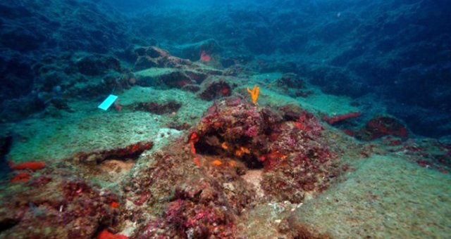 Antalya'da 3 Bin 600 Yıllık Gemi Batığı Bulundu