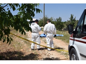 Malatya’da Cinayet: Polis Memuru Ve Annesi Öldü