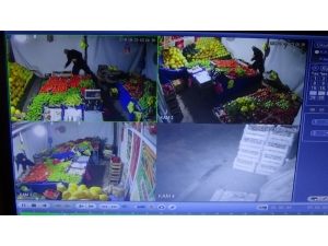 Birer Gün Arayla 3 Kez Aynı Manavı Soyan Hırsız Kameralara Yakalandı